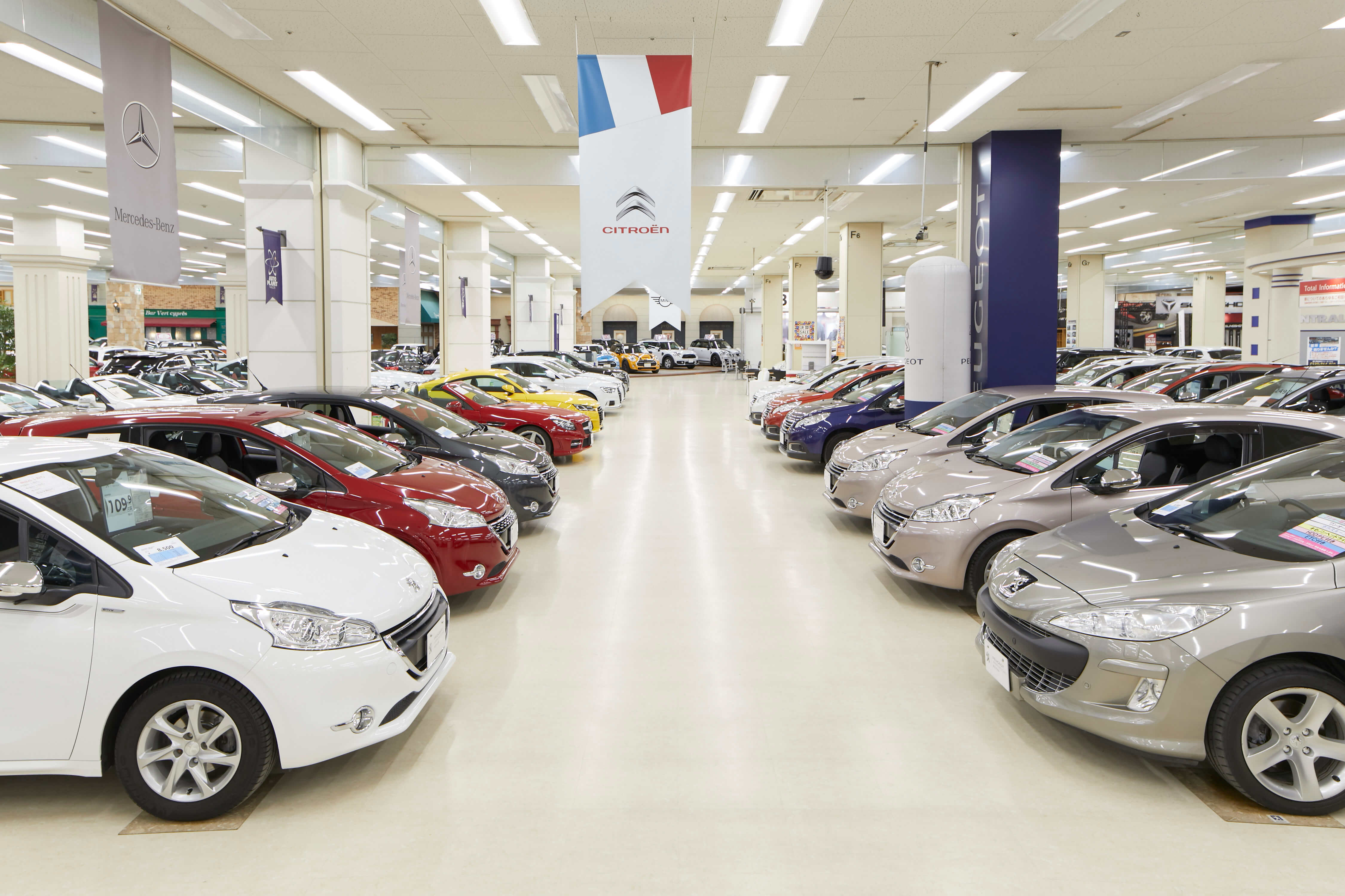 国内最大級の展示車両数で高い集客力