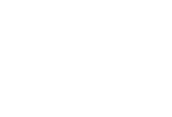 特別休日数
