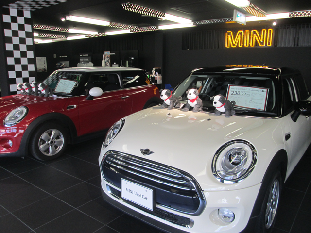 MINI NEXT 岡崎