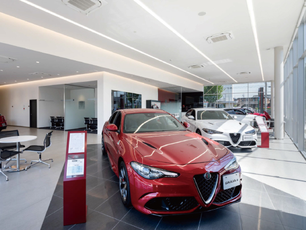 アルファ ロメオ天白